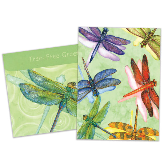 Carte Toutes les occasions Libellules