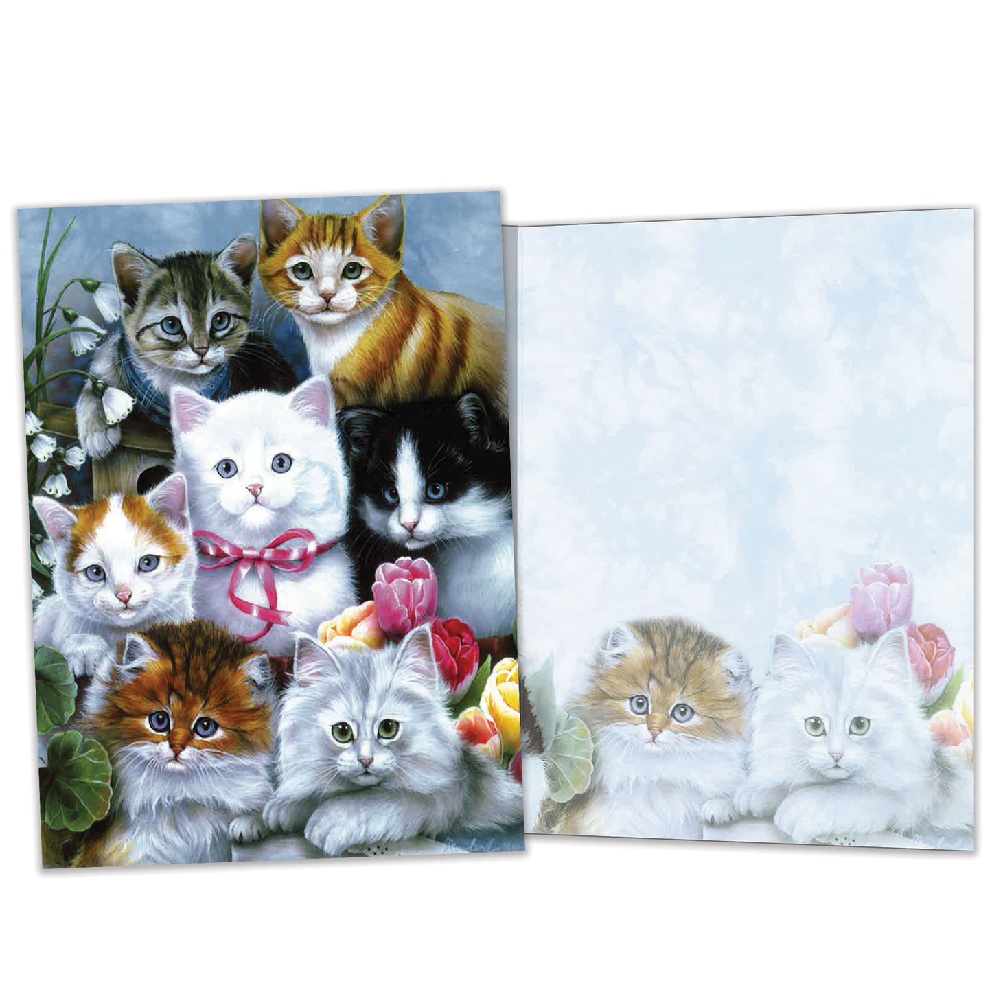 Carte Toutes les occasions Chatons