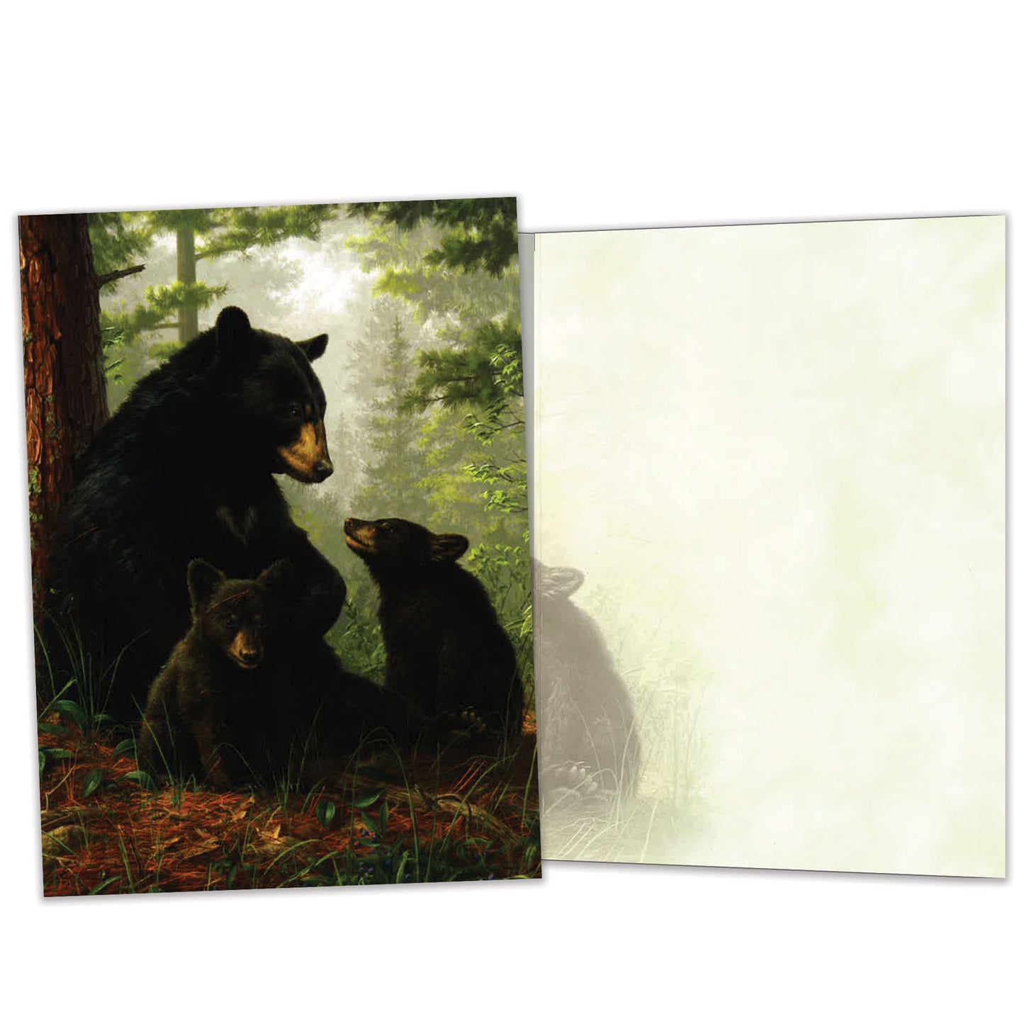 Carte Toutes les occasions Famille d'ours