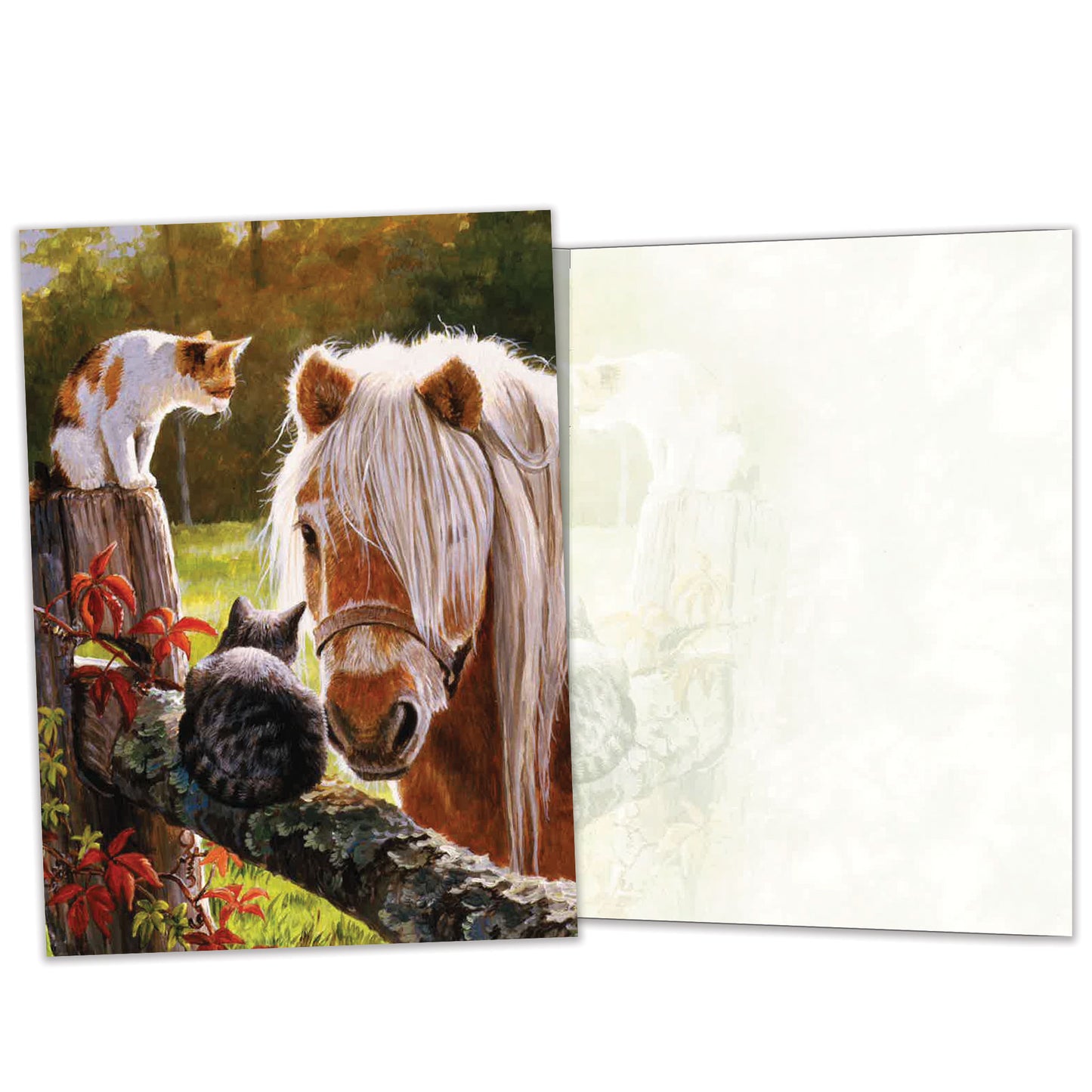Carte Toutes les occasions Une Visite