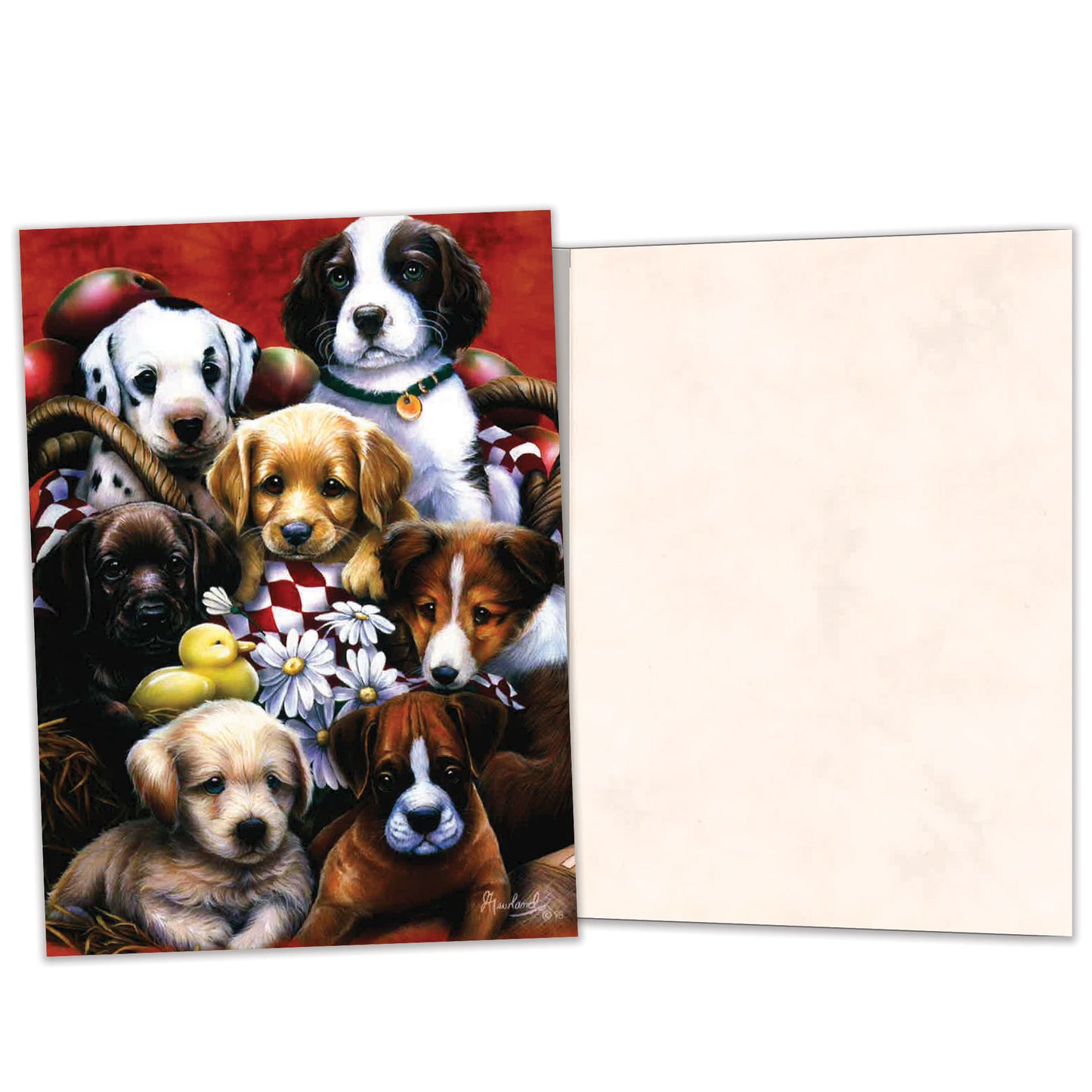 Carte Toutes les occasions Chiens Copains