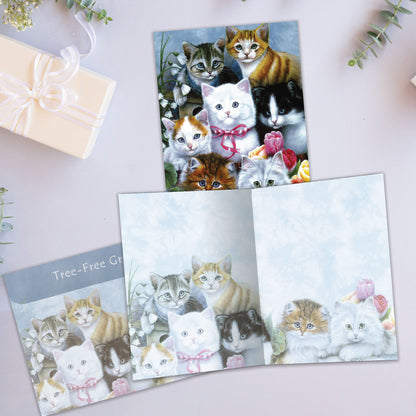Carte Toutes les occasions Chatons