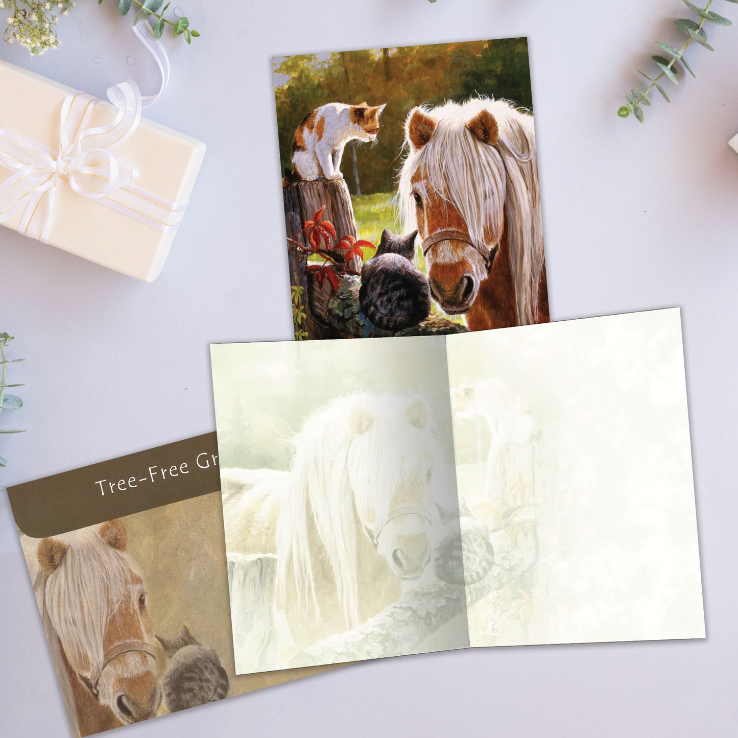 Carte Toutes les occasions Une Visite