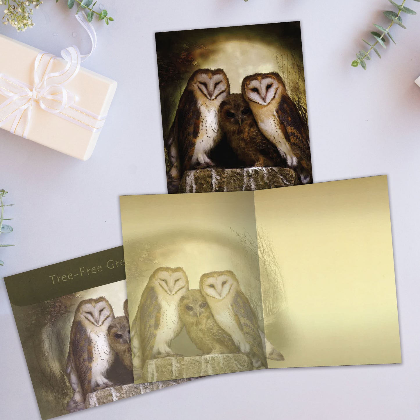 Carte Toutes les occasions Trois Hibous