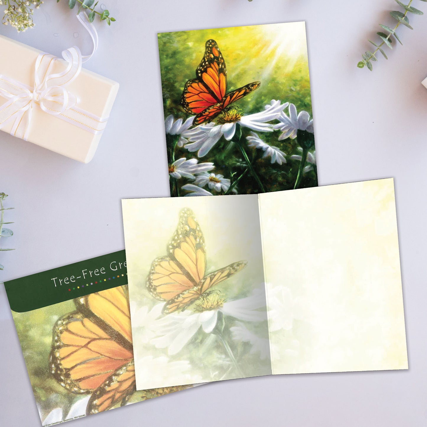 Carte Toutes les occasions Rayons de lumière