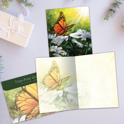Carte Toutes les occasions Rayons de lumière