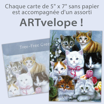 Carte Toutes les occasions Chatons