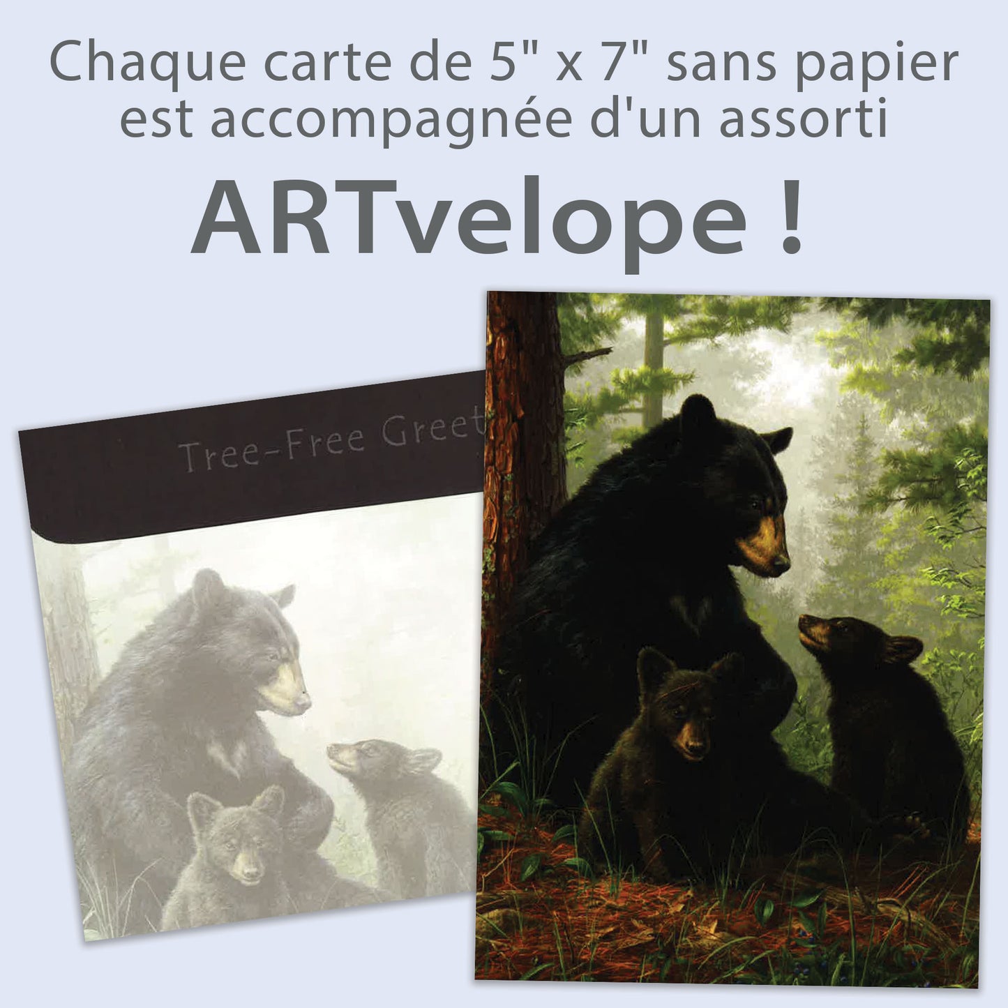 Carte Toutes les occasions Famille d'ours