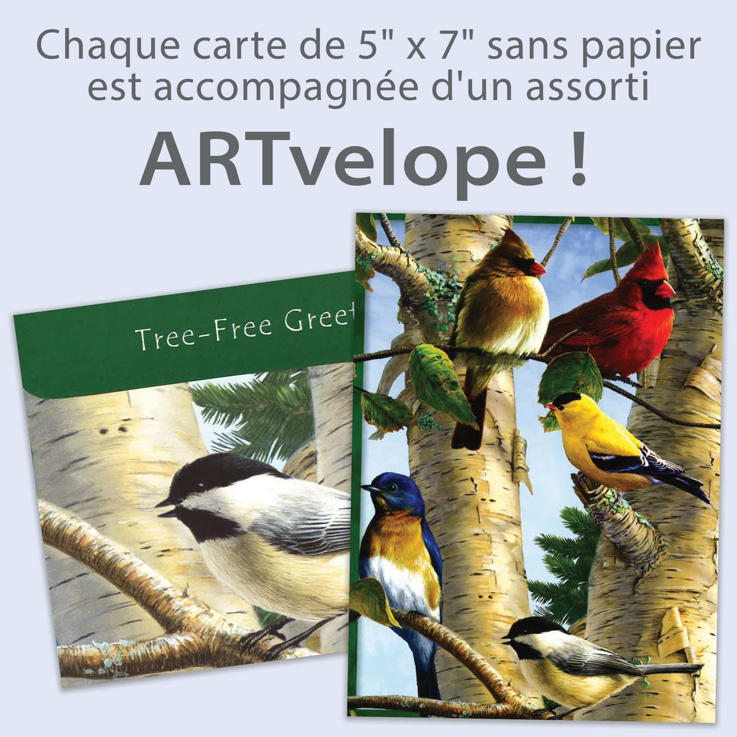 Carte Toutes les occasions Oiseaux Chanteurs