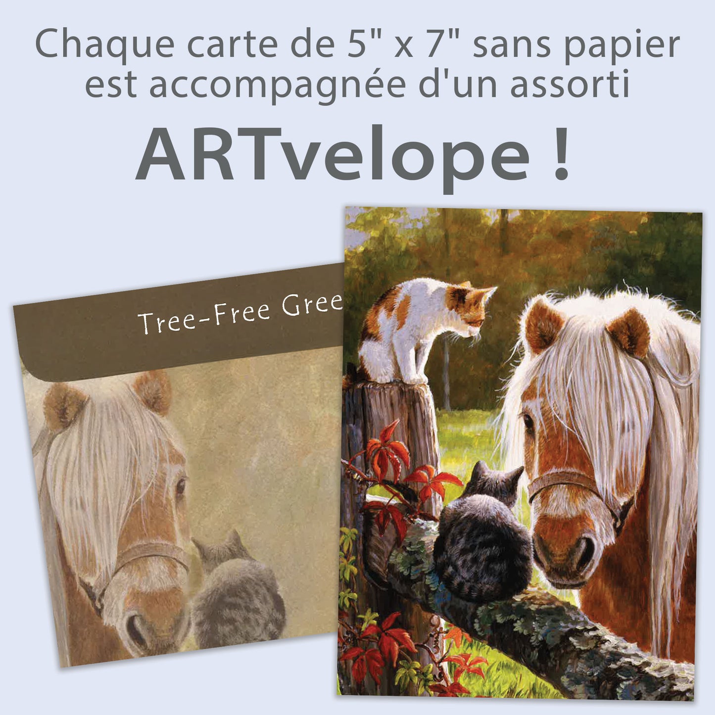 Carte Toutes les occasions Une Visite