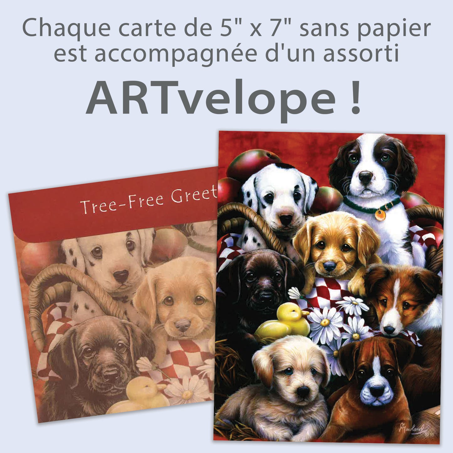 Carte Toutes les occasions Chiens Copains