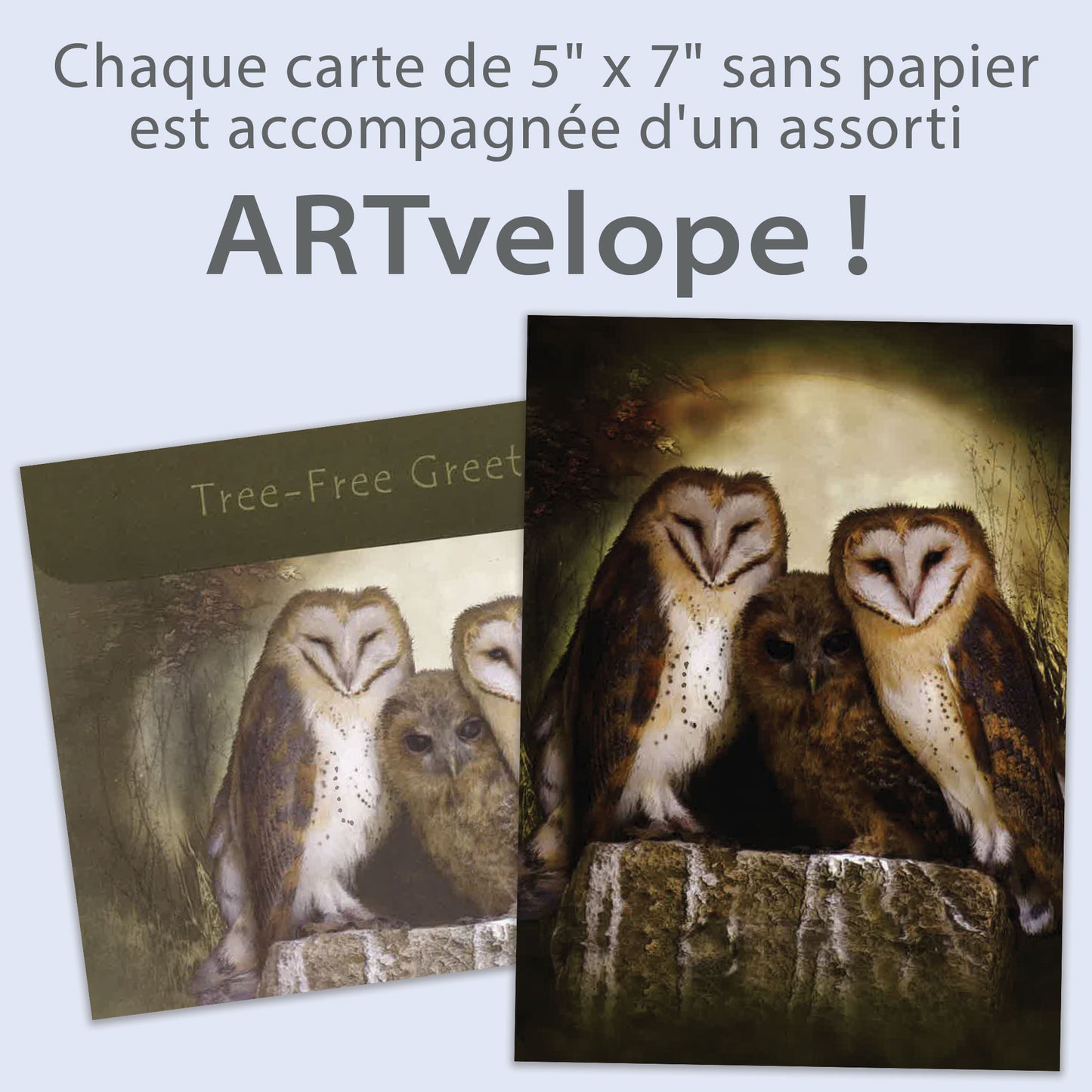 Carte Toutes les occasions Trois Hibous