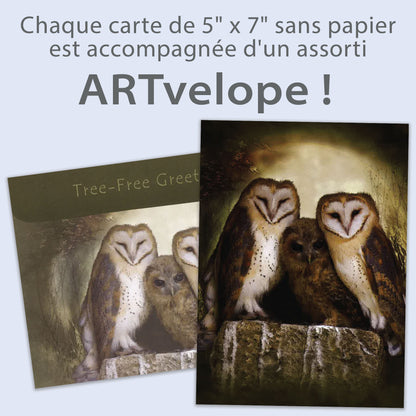 Carte Toutes les occasions Trois Hibous