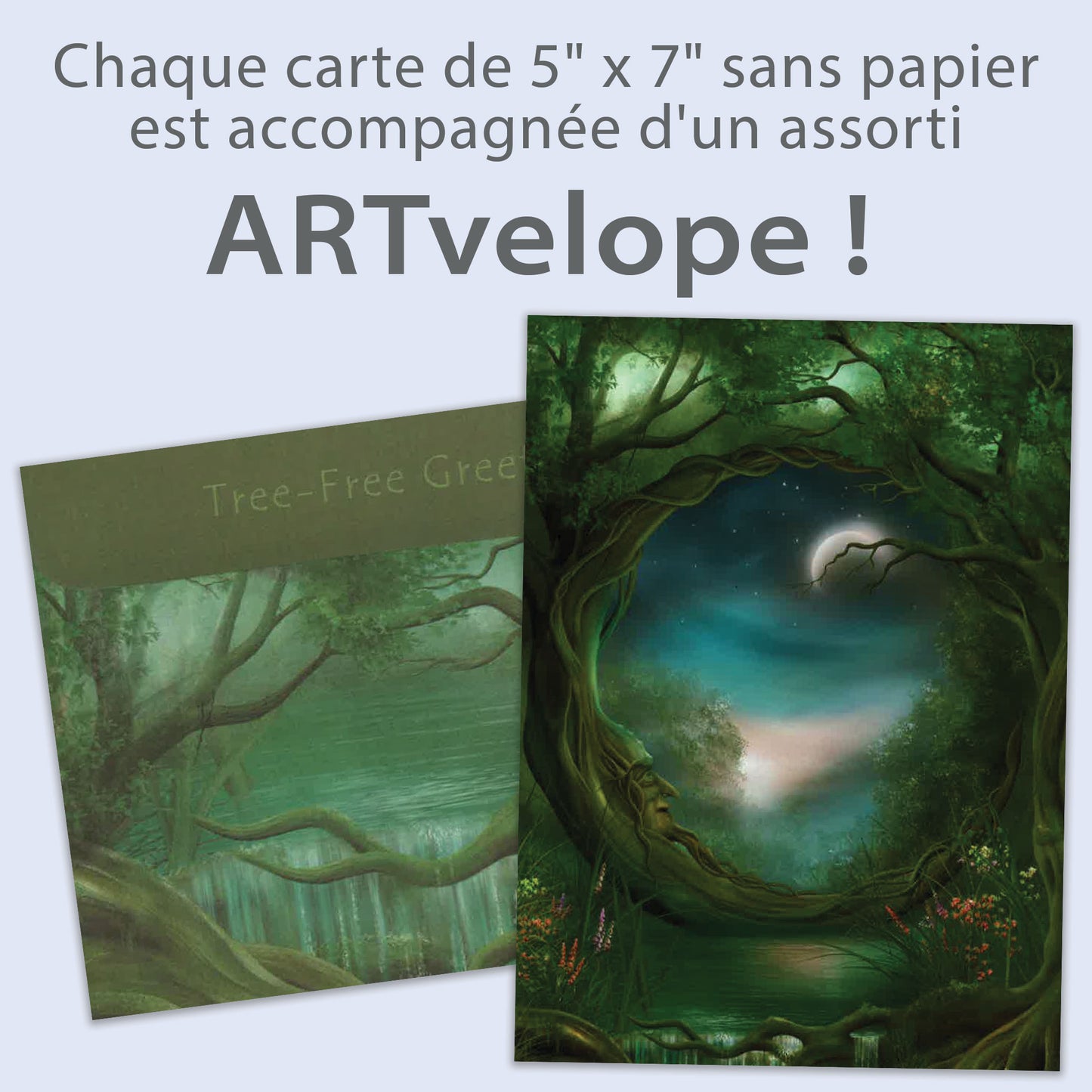 Carte Toutes les occasions Jour-Nuit