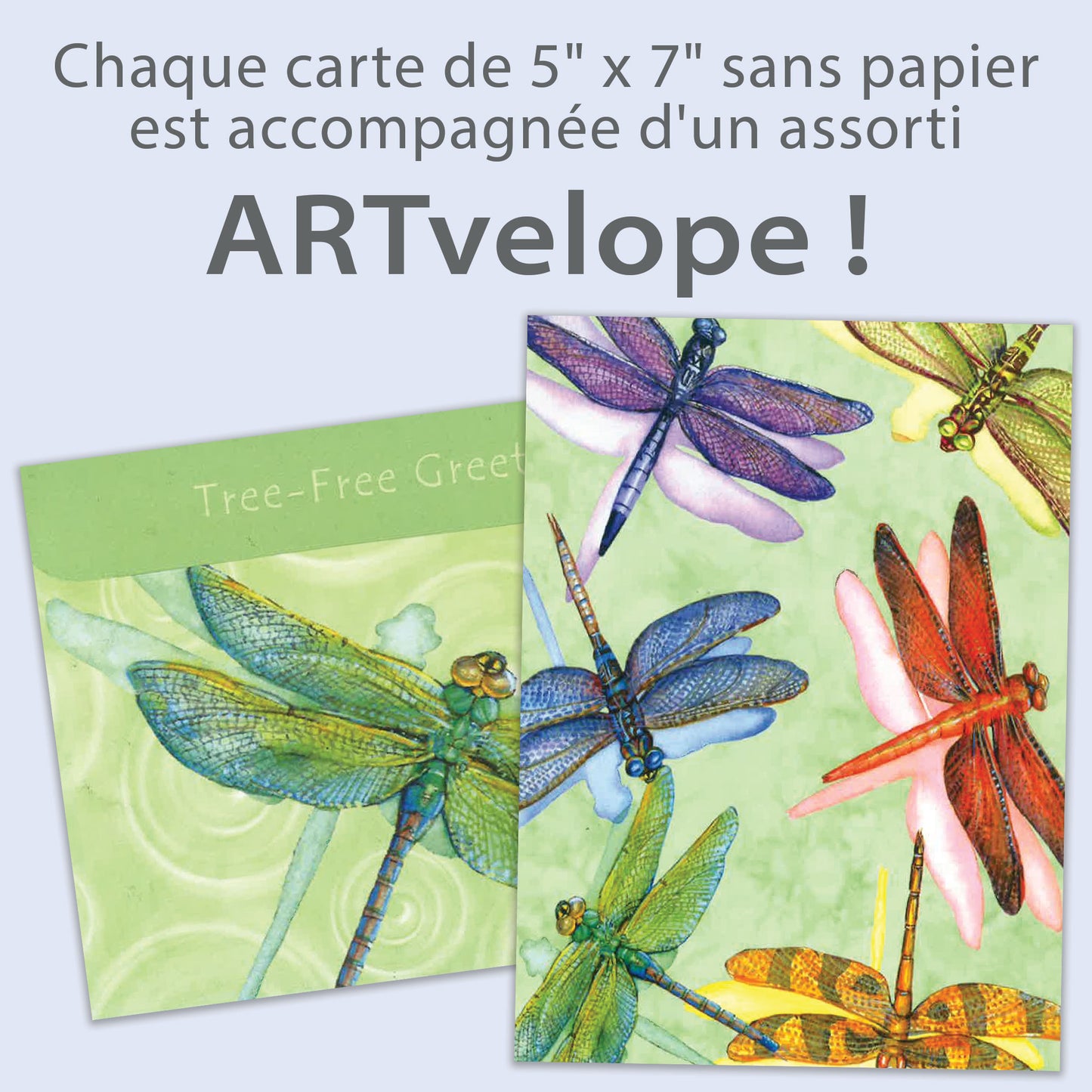 Carte Toutes les occasions Libellules