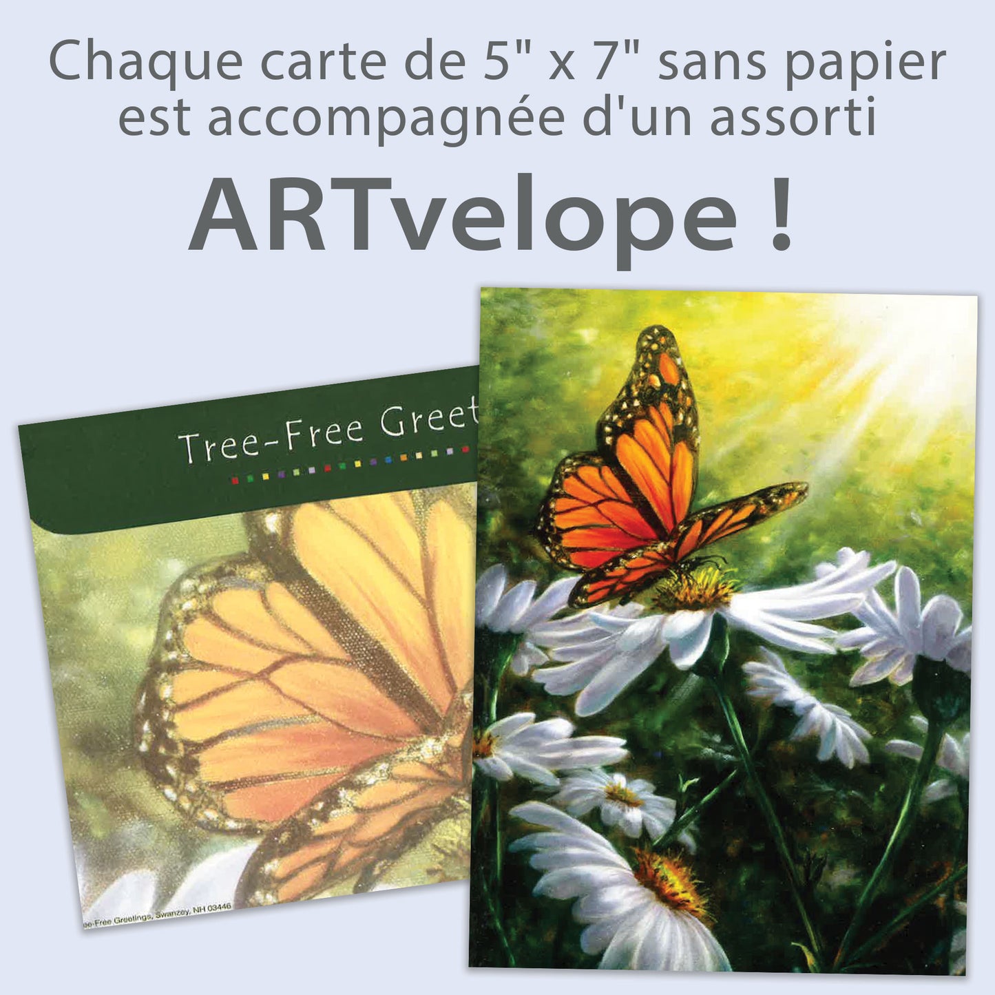 Carte Toutes les occasions Rayons de lumière