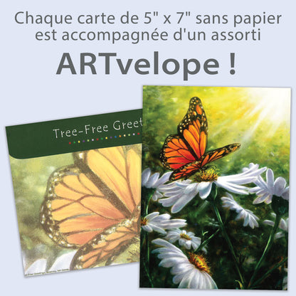 Carte Toutes les occasions Rayons de lumière