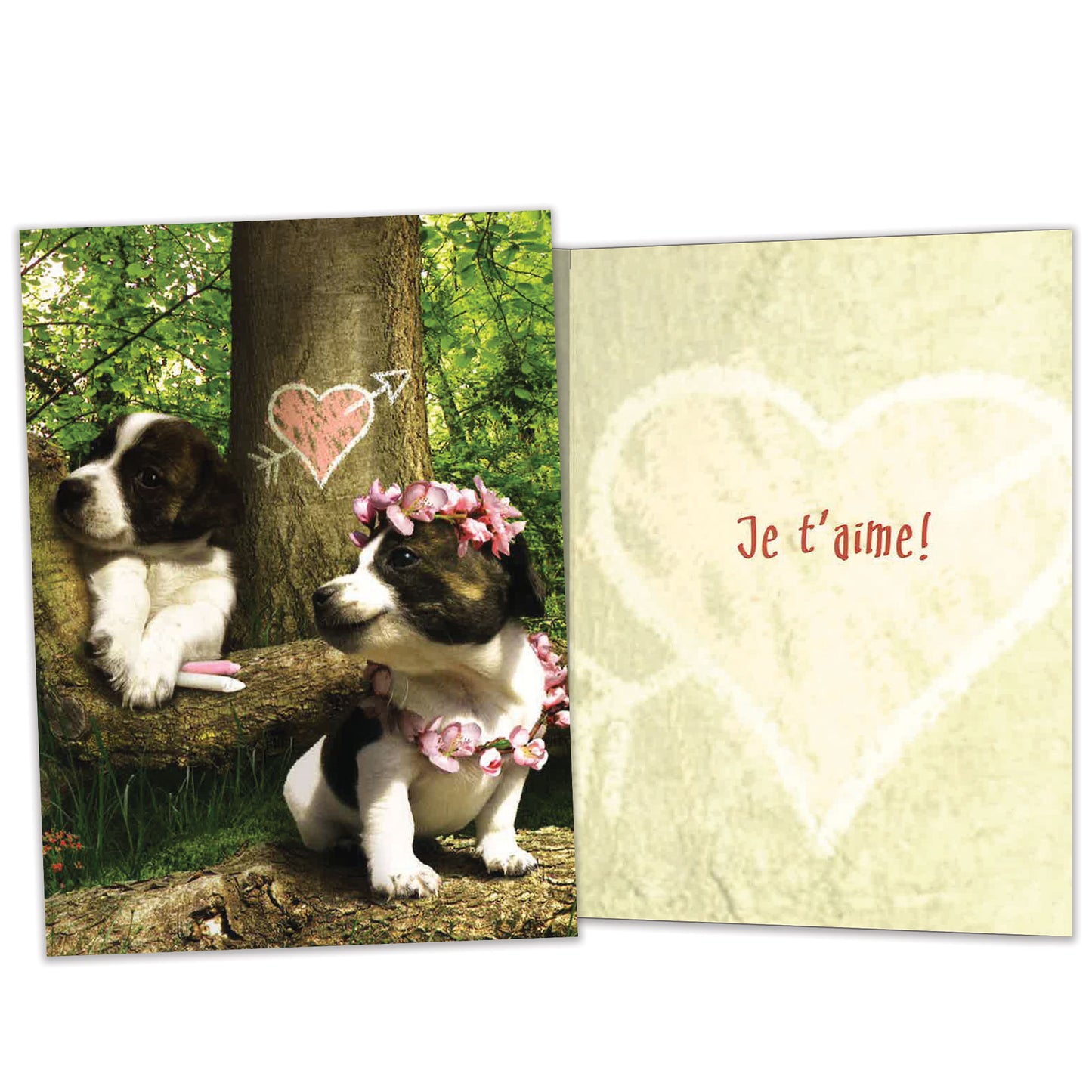 Carte Amour-Amitié L'amour de chien