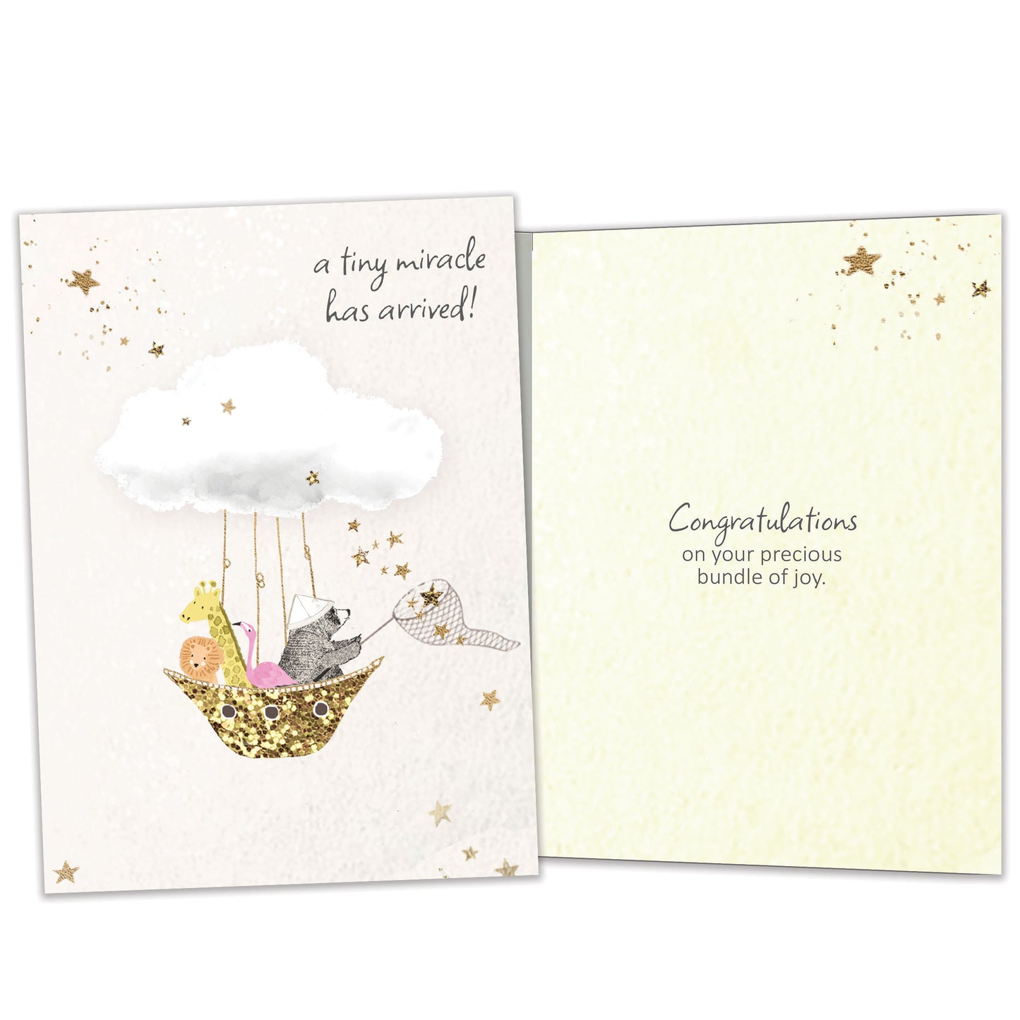 Tiny Miracle New Baby Card