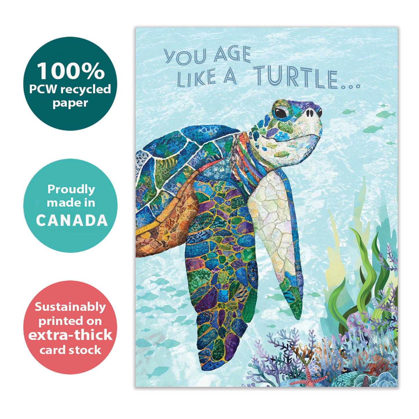 Graceful Turtle Birthday Card