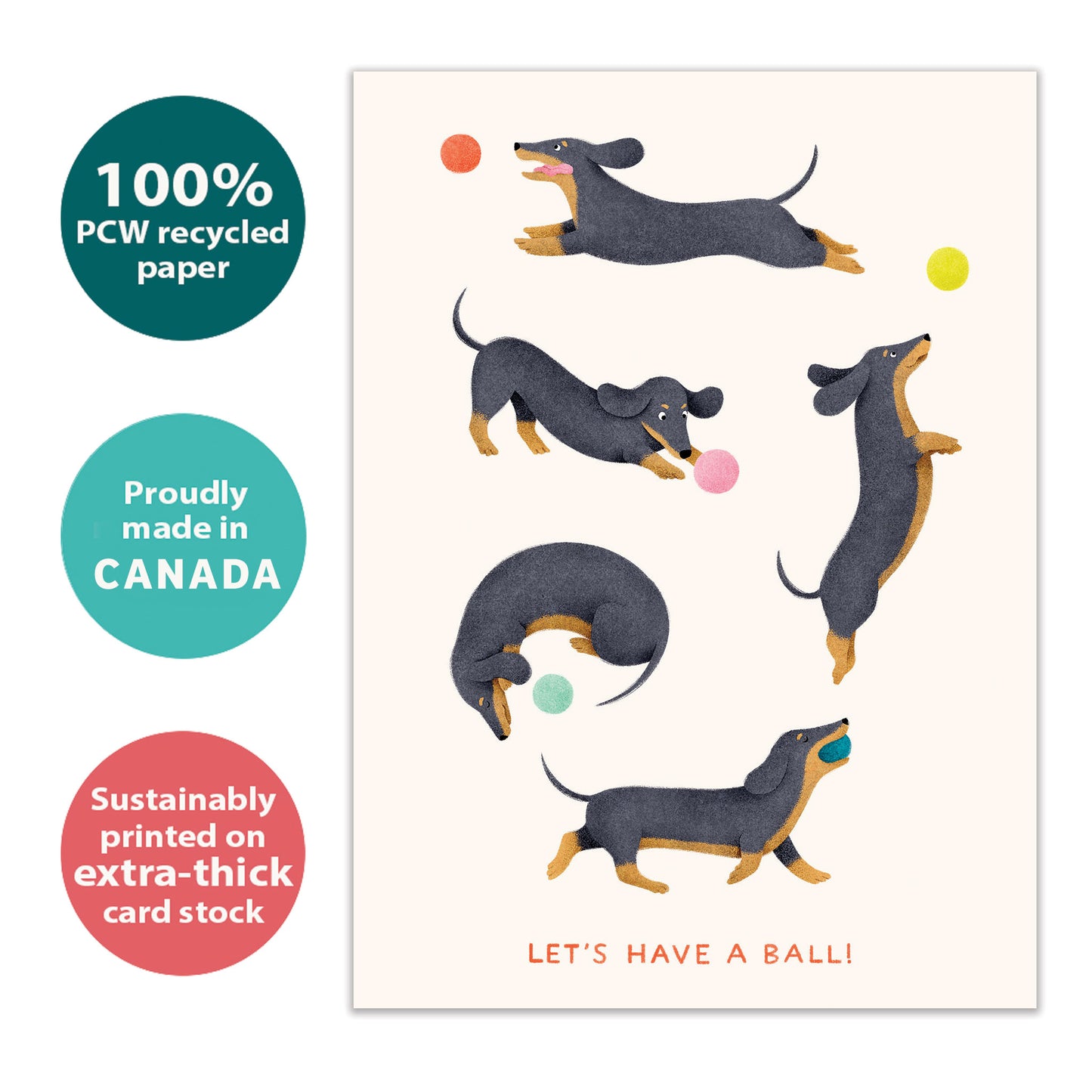 Playful Dachshunds Birthday Card