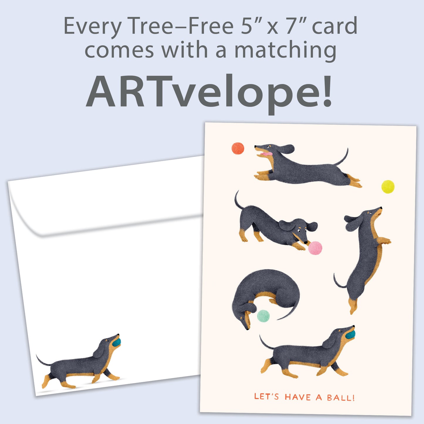 Playful Dachshunds Birthday Card