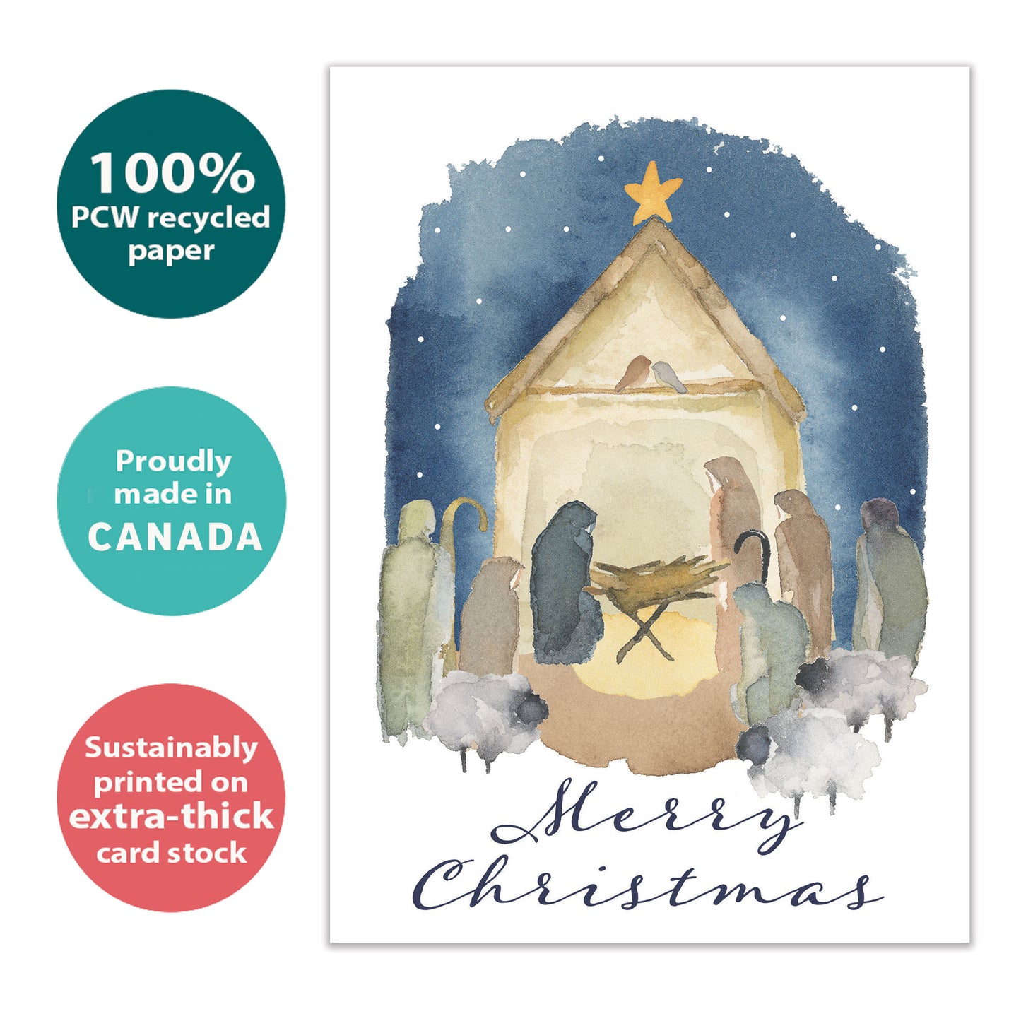 Nativity Miracle Christmas Card