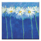 Daisies On Blue Thumb-Tack Canvas Card