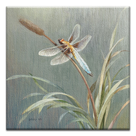 Danhui Dragonfly Thumb-Tack Canvas Card
