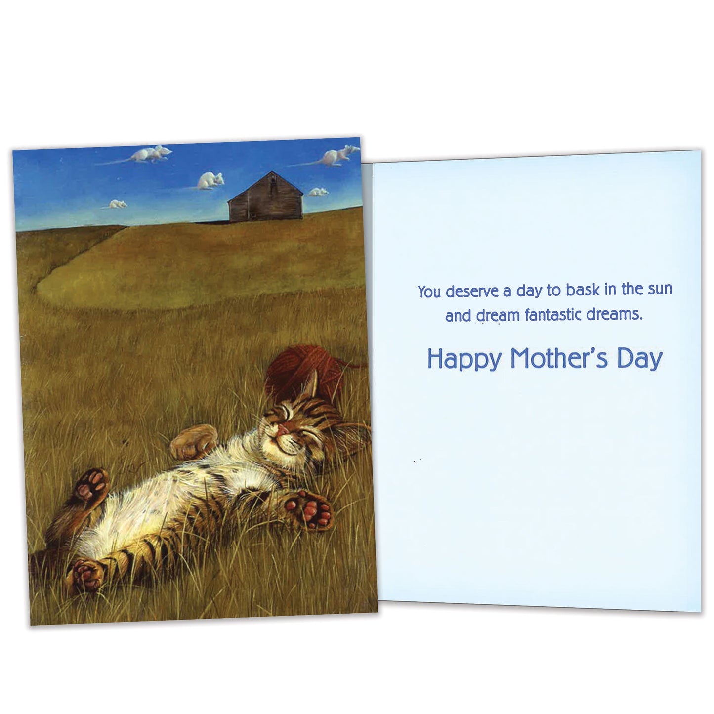 Fantastic Dreams Mother’s Day Card