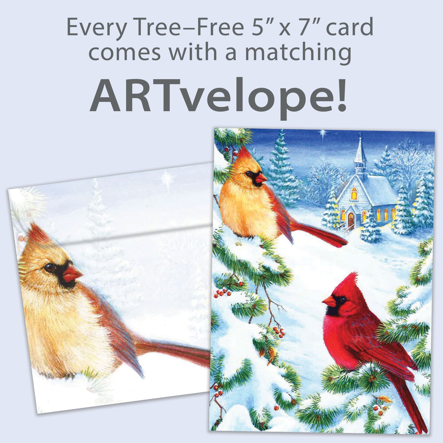 Christmas Cardinals Christmas Card