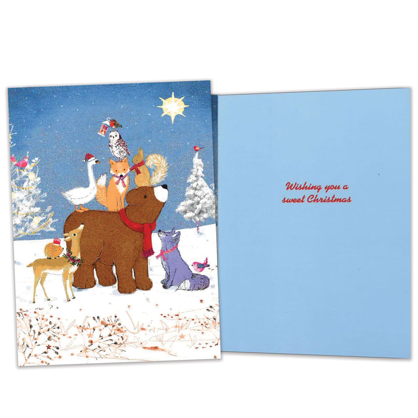 Beary Merry Christmas Christmas Card