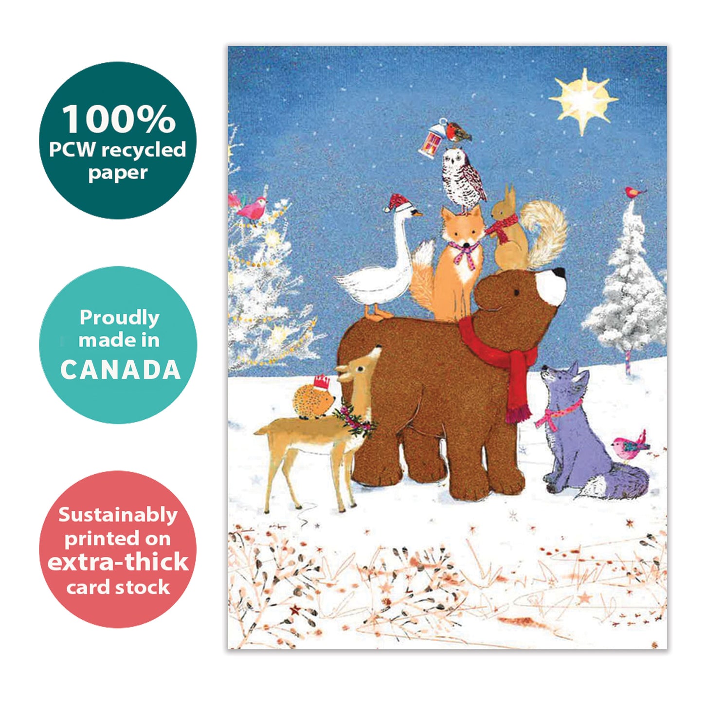Beary Merry Christmas Christmas Card