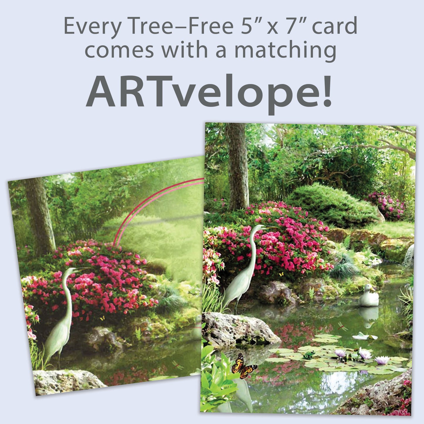 Nature Surrounds Me All Occasion Card