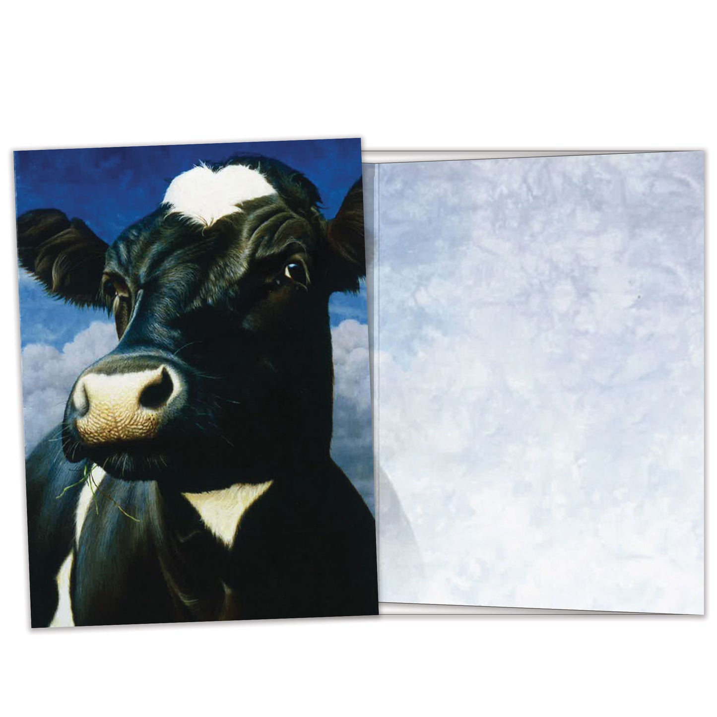Moo All Occasion Card