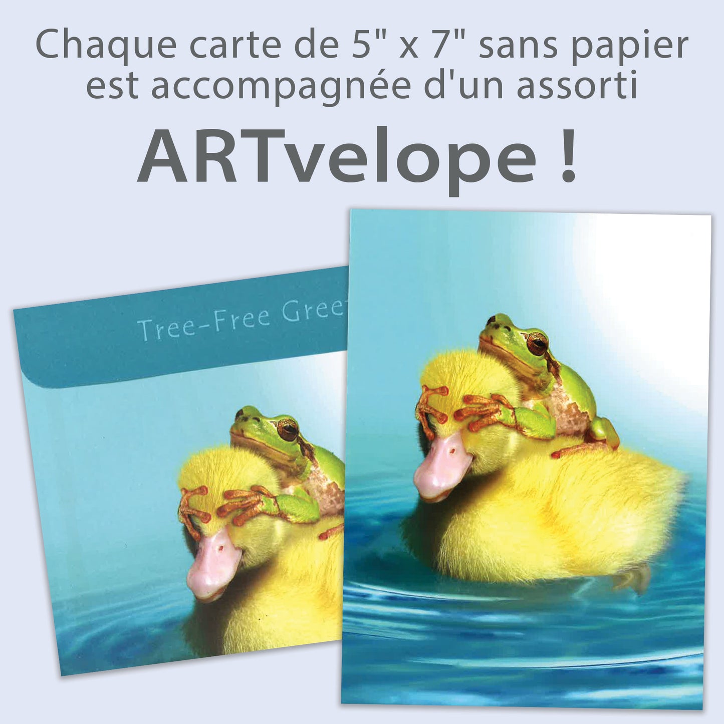 Carte bonne fête Canard et Grenouille