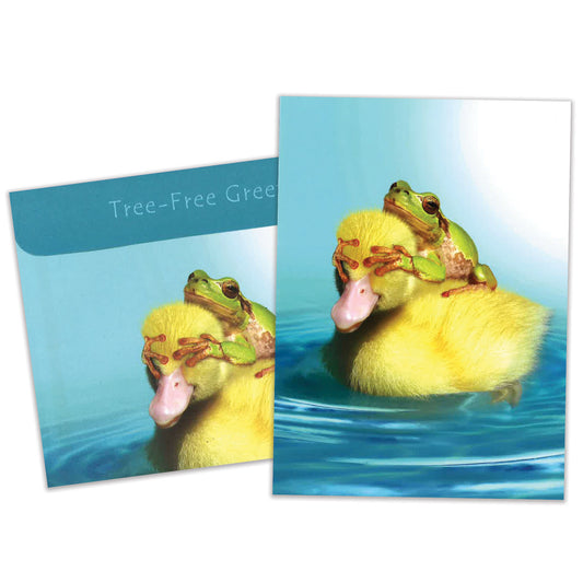 Carte bonne fête Canard et Grenouille