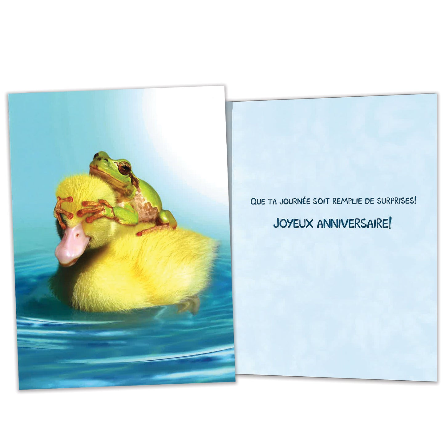 Carte bonne fête Canard et Grenouille