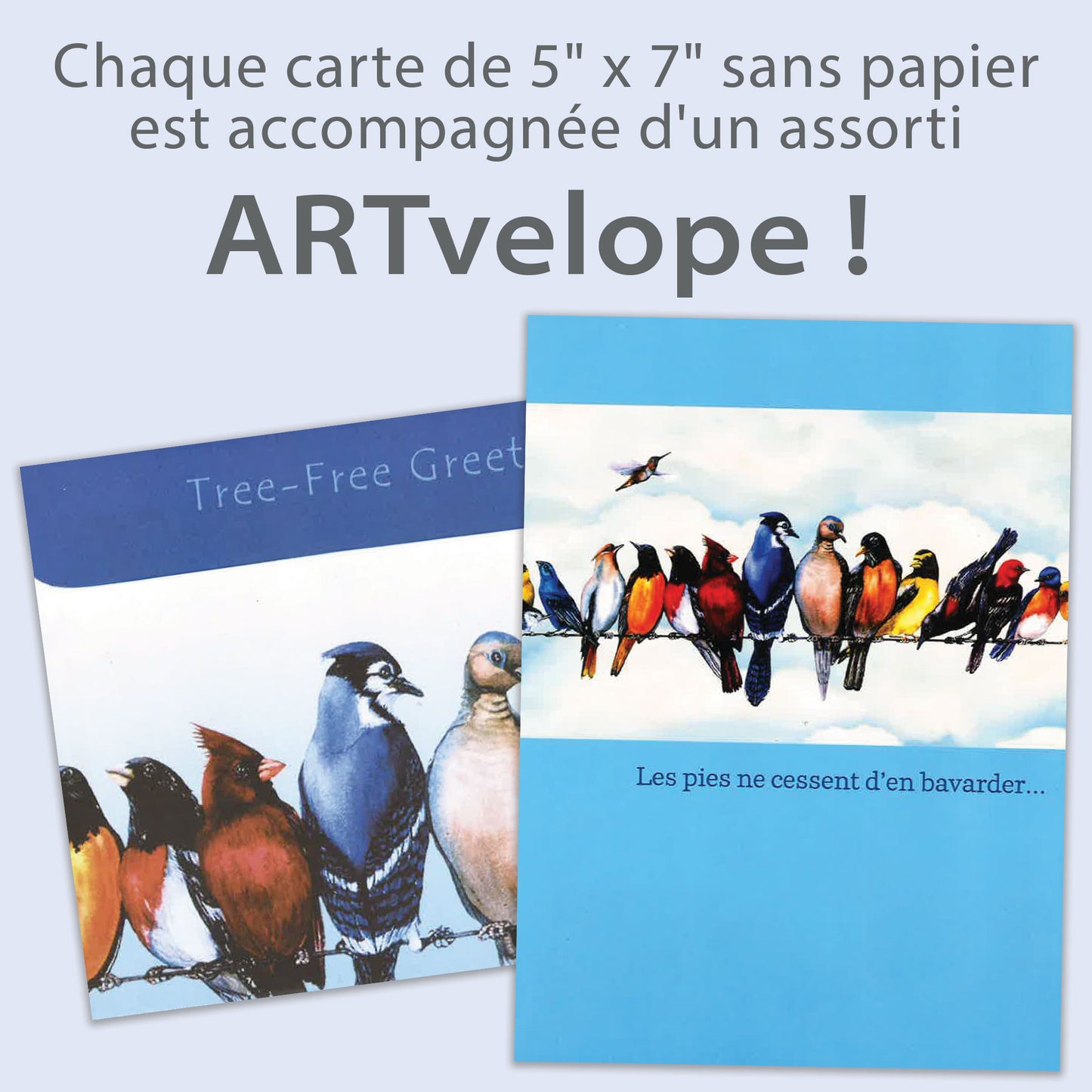 Carte Félicitations Pies Sure Le Fil