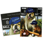 Carte Fête des Pères Play Ball