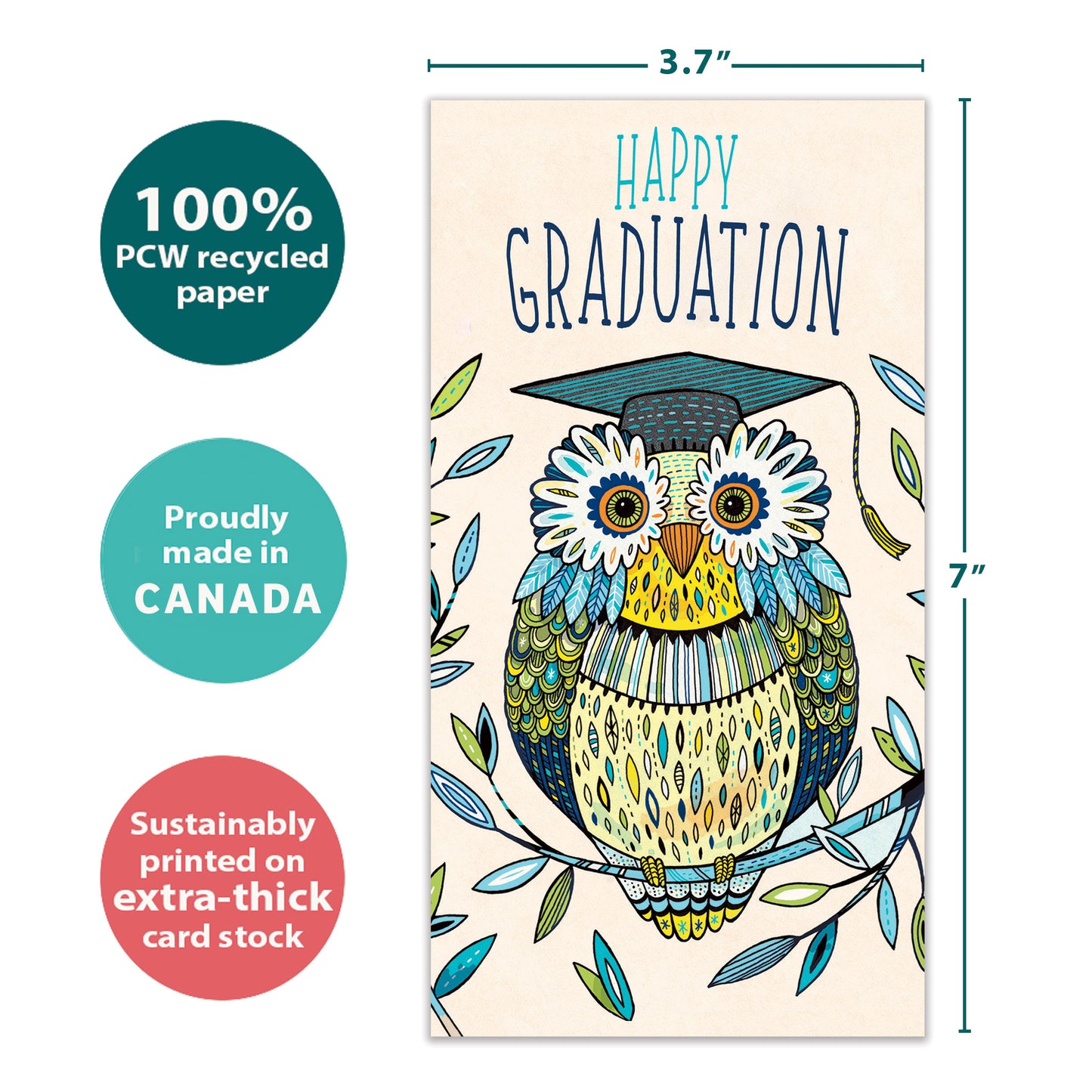 Graduation Owl Money Holder Card