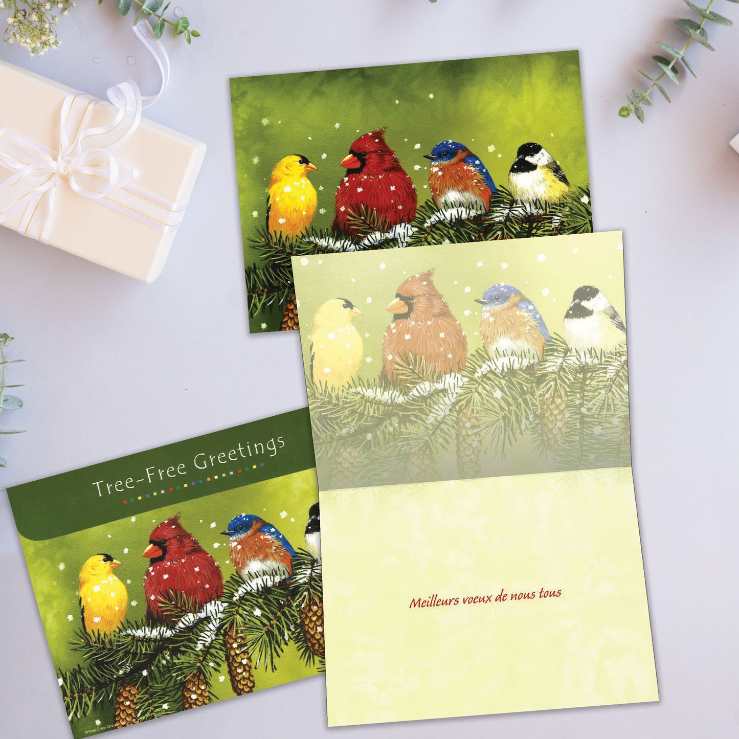 Carte Noël Amis Plumeux D'Hiver