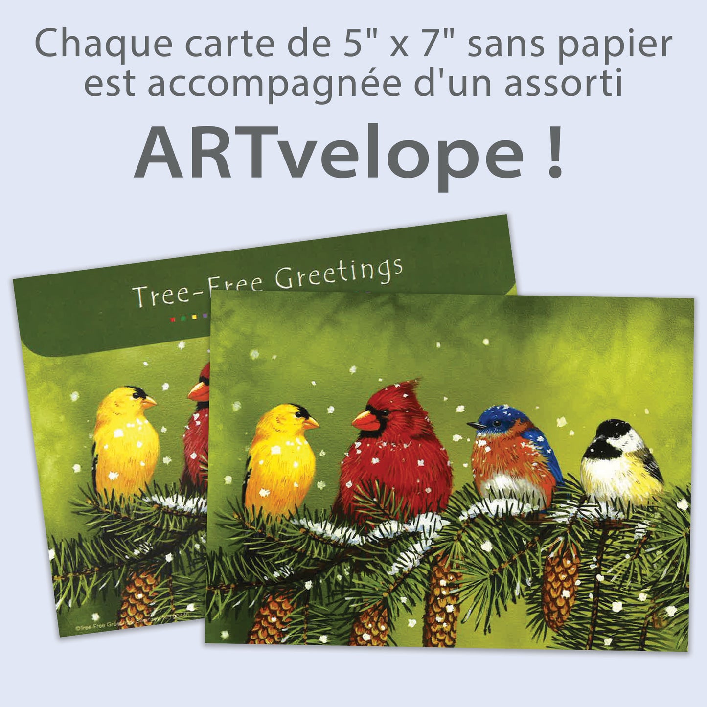 Carte Noël Amis Plumeux D'Hiver