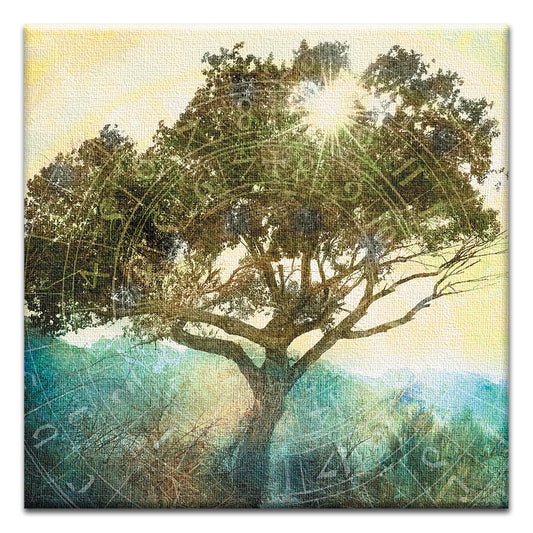 Tree Of Time Thumb-Tack Canvas Card