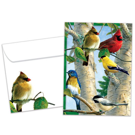 Front view of an All Occasion greeting card and matching envelope featuring colourful birds sitting in a vibrant tree.