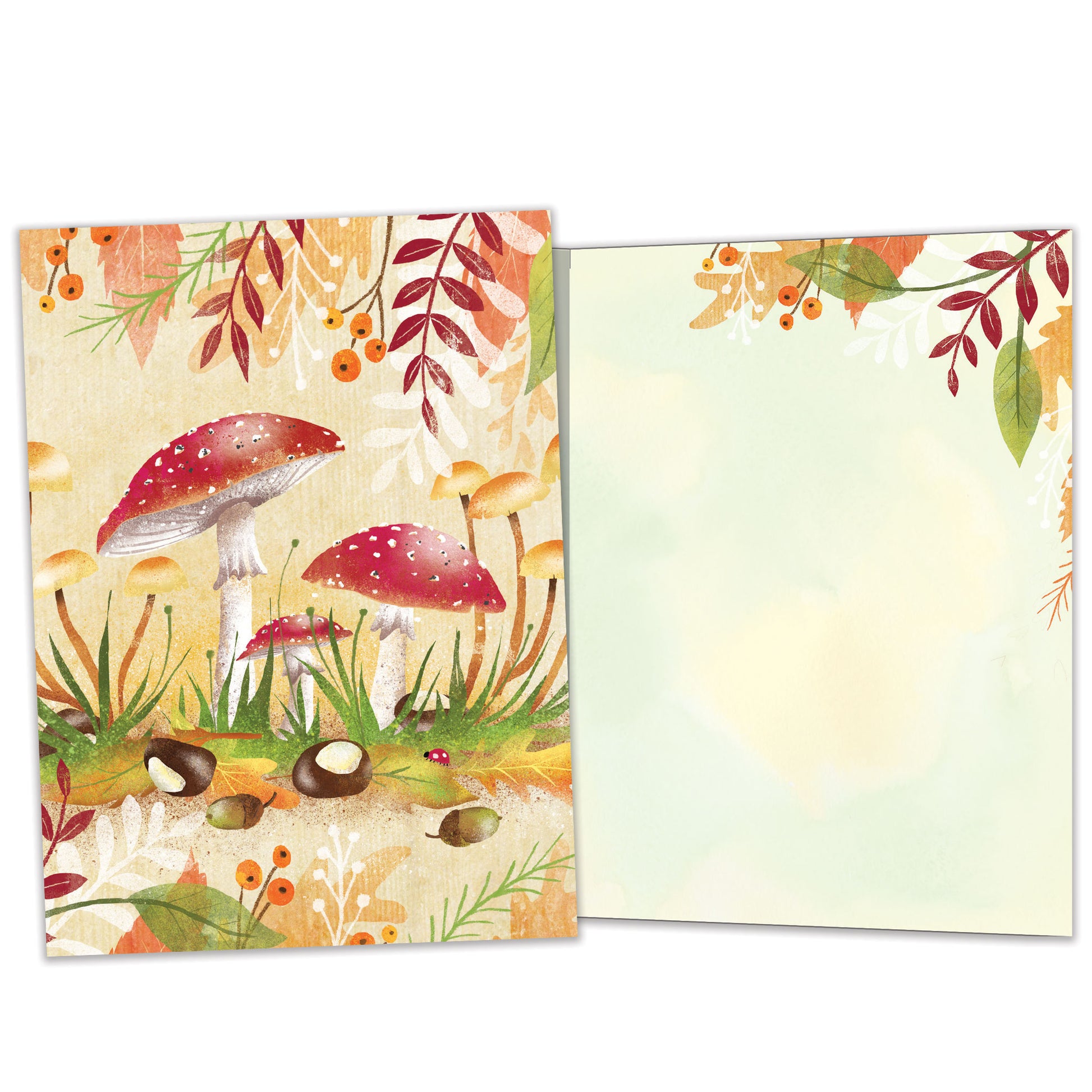 Front and inside view of an All Occasion greeting card featuring colourful mushrooms in a forest setting with matching design details inside.
