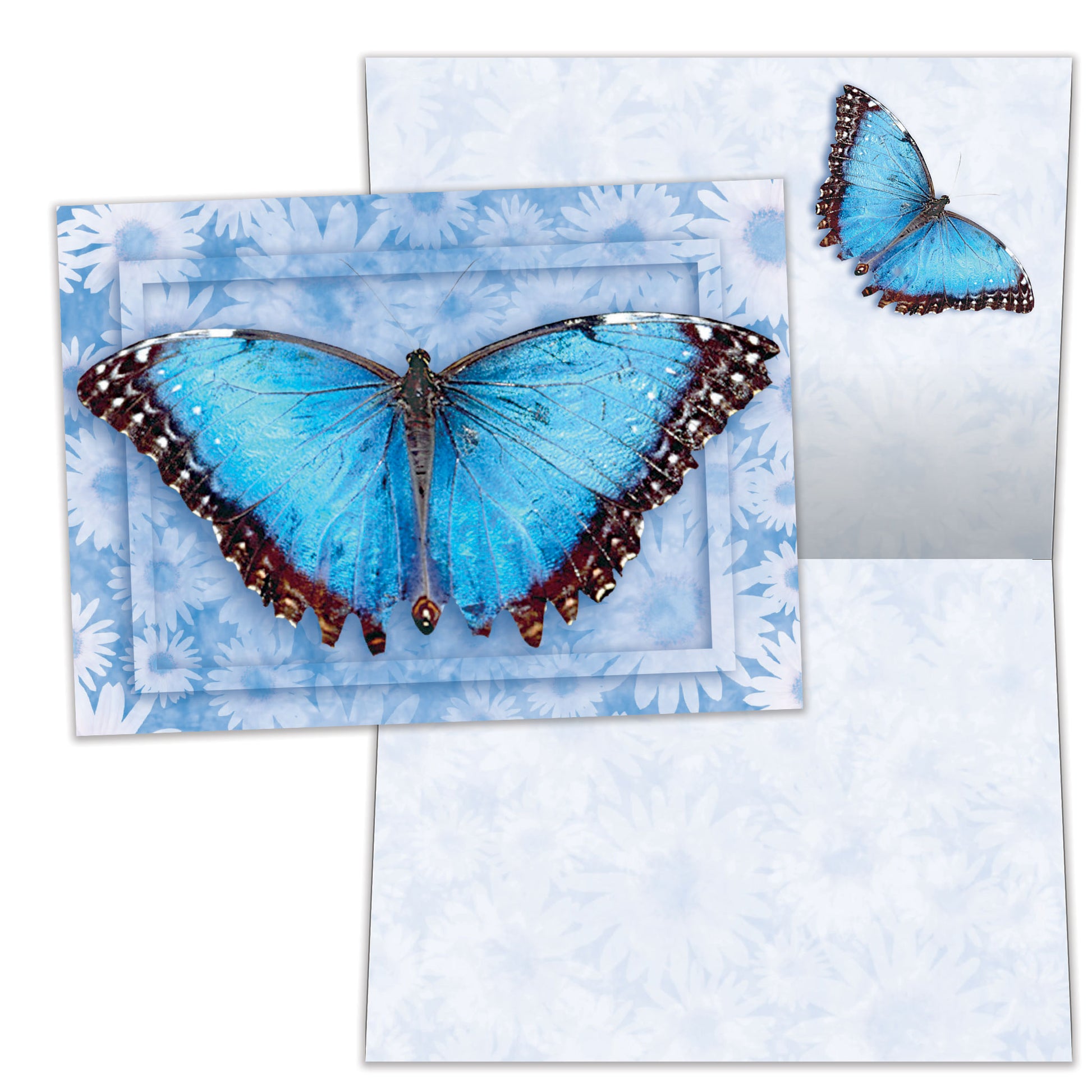 Front and inside view of an All Occasion greeting card featuring a vibrant blue butterfly on a floral background, featuring matching details on the inside.