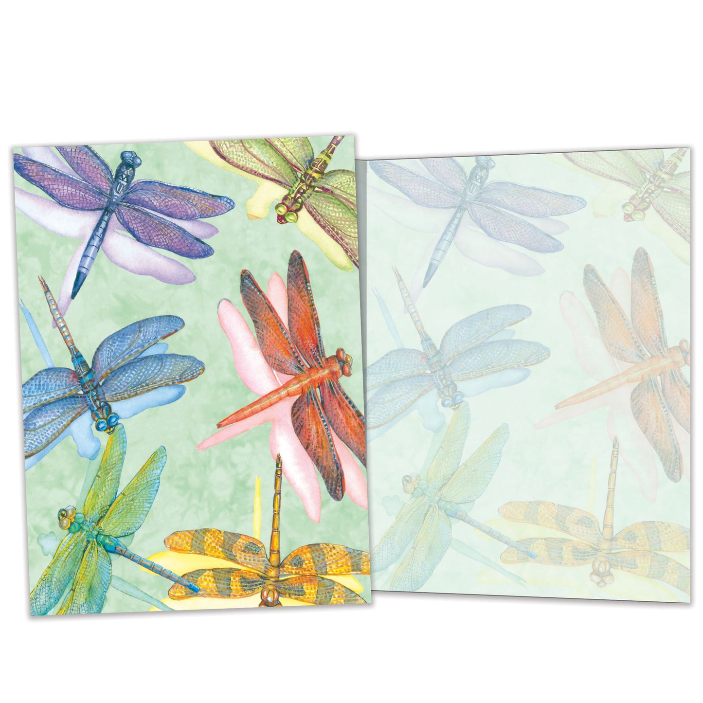 Front and inside view of an All Occasion greeting card showcasing dragonflies on a light green background, featuring matching details on the inside.