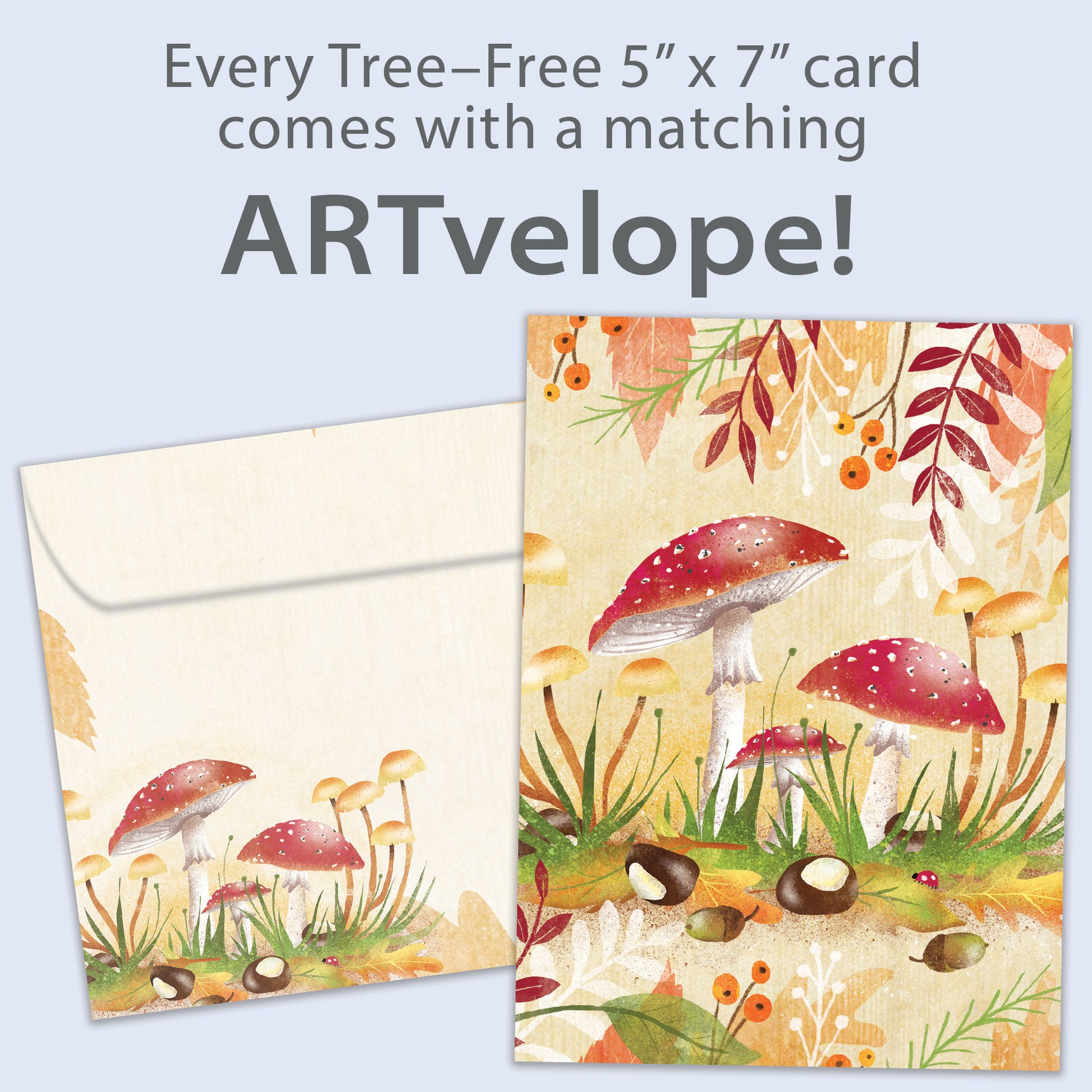 Front view of an All Occasion greeting card showcasing colourful mushrooms in a forest, along with matching envelope artwork.