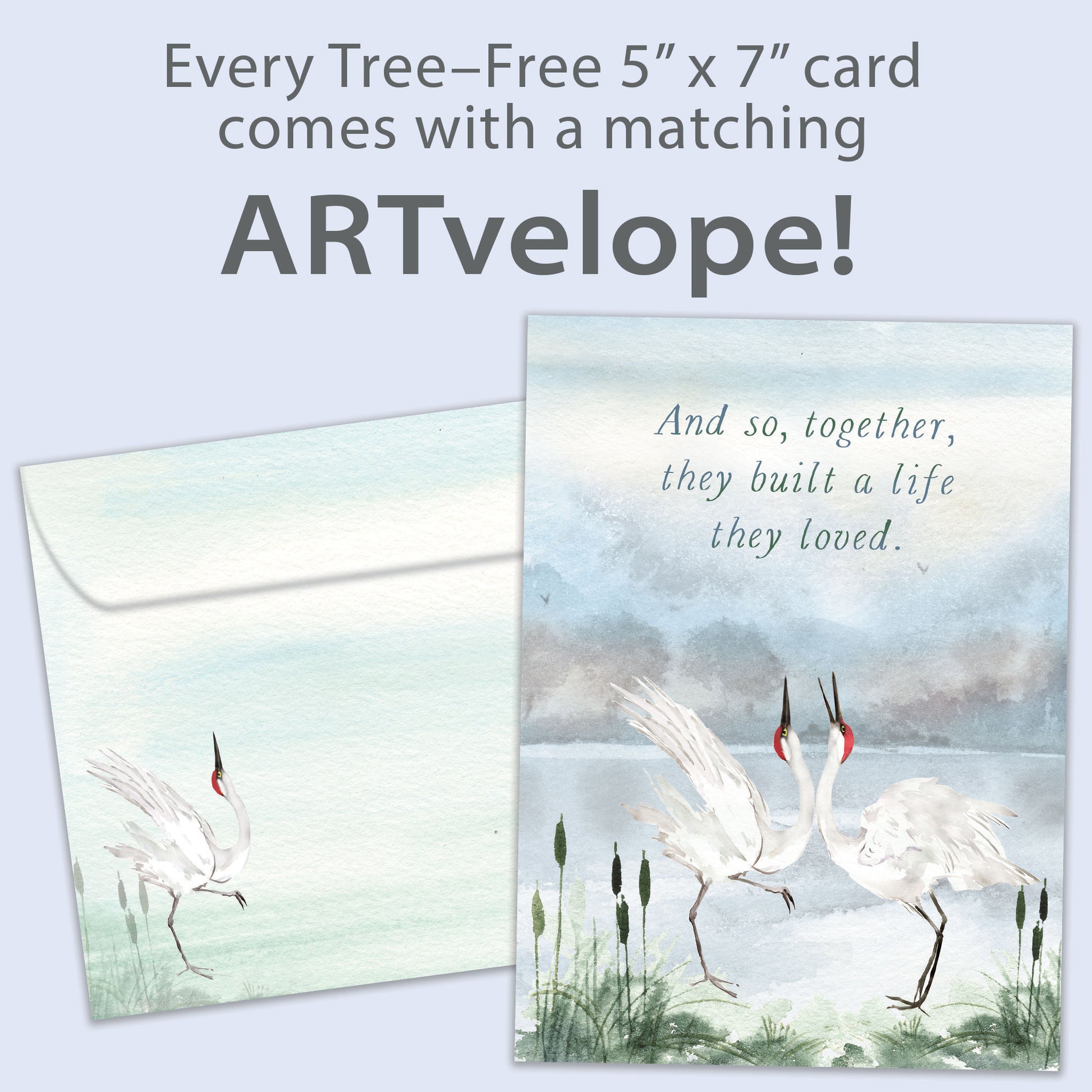 Front view of an Anniversary greeting card featuring two elegant cranes dancing together, with matching envelope artwork.